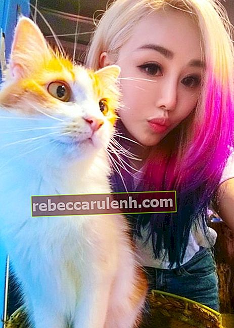 Wengie dans un selfie avec un chat qu'elle a rencontré en Malaisie en novembre 2017