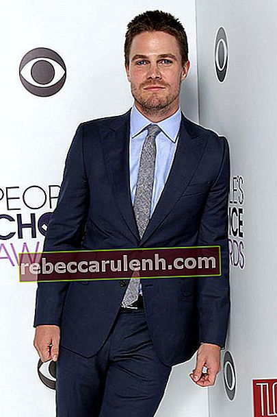 Stephen Amell durante il People Choice Awards 2014