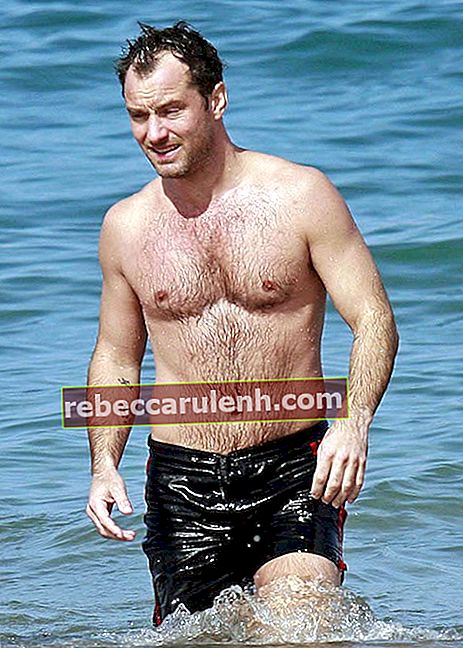 Jude Law torse nu pendant des vacances à Hawaï
