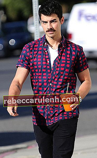 Joe Jonas moustache 2013