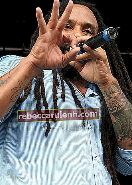Ky-Mani Marley на музикален фестивал Raggamuffin през януари 2011 г.