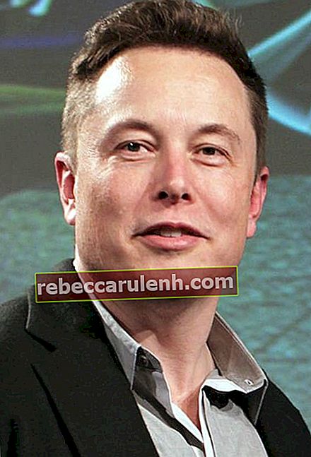 Elon Musk à la réunion annuelle 2015 de Tesla Motors