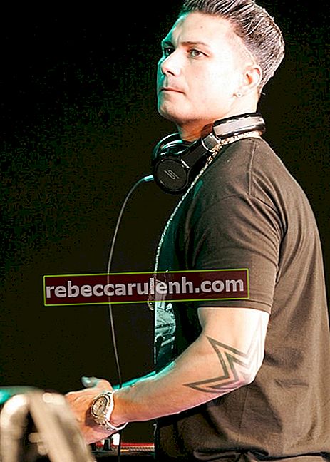 DJ Pauly D, wie auf einem Foto zu sehen, das während seines Auftritts im Big Top Luna Park Sydney im Januar 2013 aufgenommen wurde