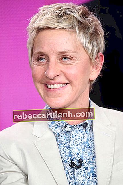 Ellen DeGeneres erscheint während der Podiumsdiskussion "One Big Happy" im Langham Hotel am 16. Januar 2015 in Pasadena, Kalifornien