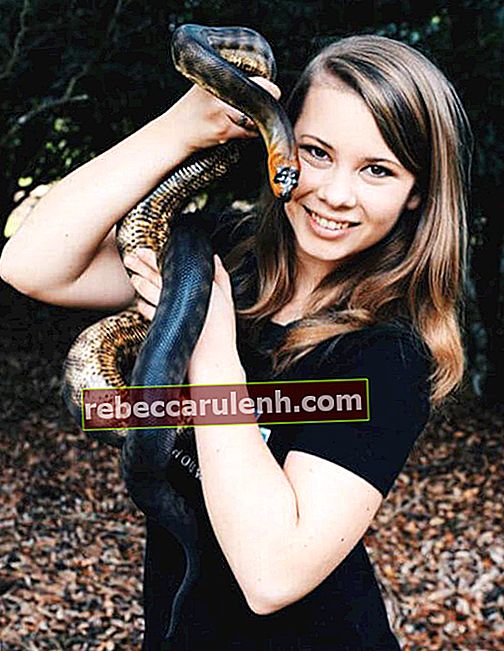 Bindi Irwin hält eine Schlange im Jahr 2015