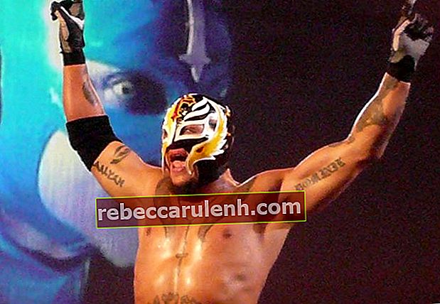 Rey Mysterio au Manchester Evening News Arena en novembre 2008