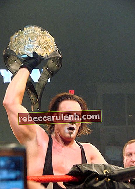 Професионален борец Стинг със световния шампионат в тежка категория на TNA в Bound for Glory на 12 октомври 2008 г.
