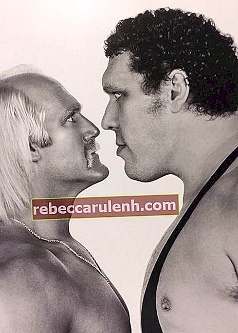 Hulk Hogan (links) mit Andre dem Riesen